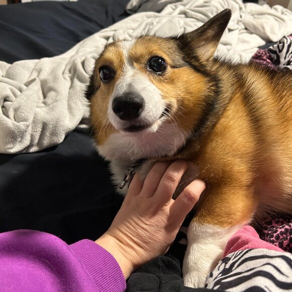 LIVE Retail Therapy - Send 2 - No theme - Picture 8 of 10